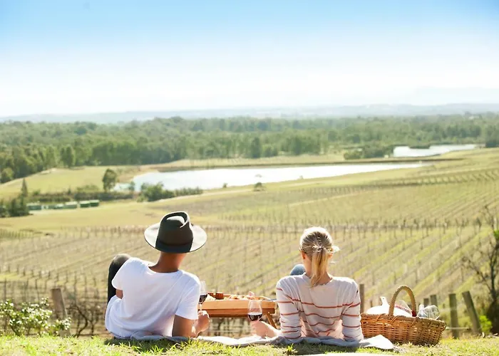 Audrey Wilkinson Vineyard