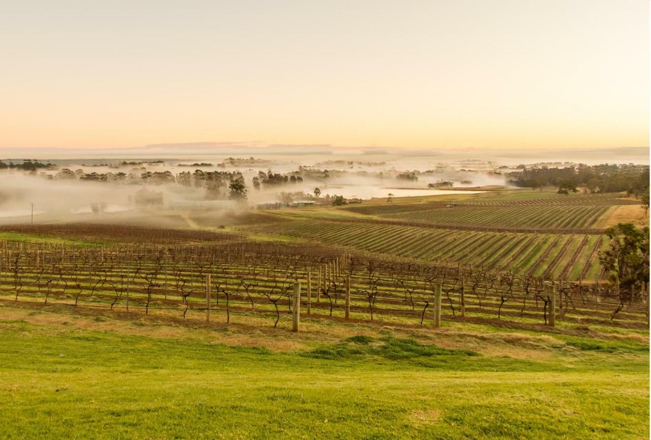 Country house Audrey Wilkinson Vineyard Pokolbin