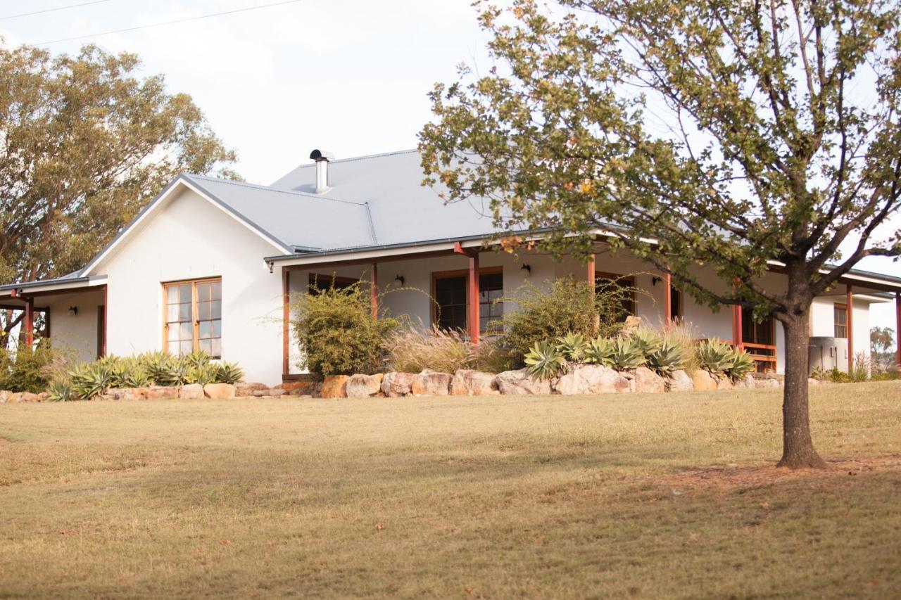 Audrey Wilkinson Vineyard